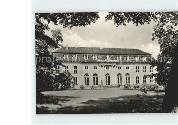 Mosigkau Museum Schloss