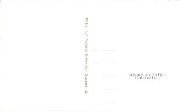 Froesoen – Bild 2