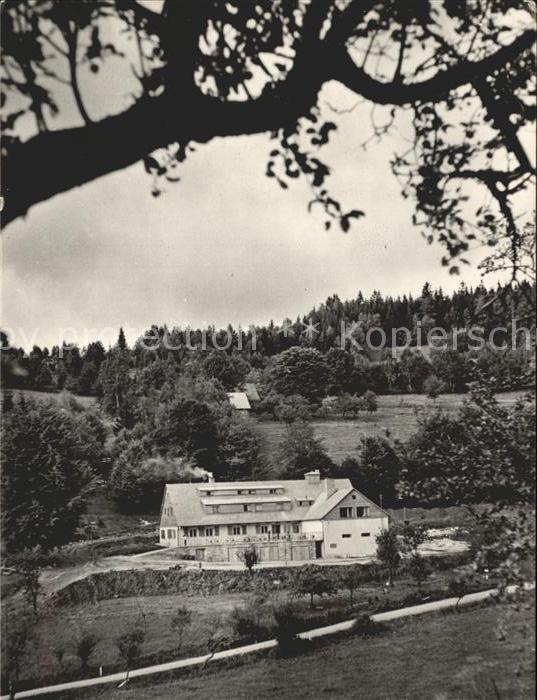 Srni Sumava