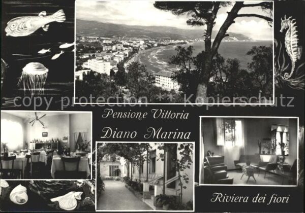 Diano Marina Pensione Vittoria Riviera dei fiori