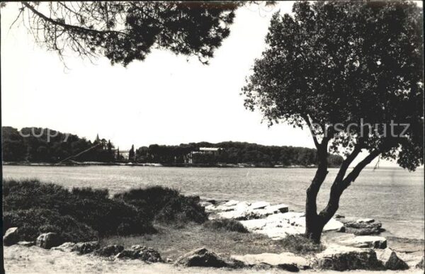 Rovinj Istrien