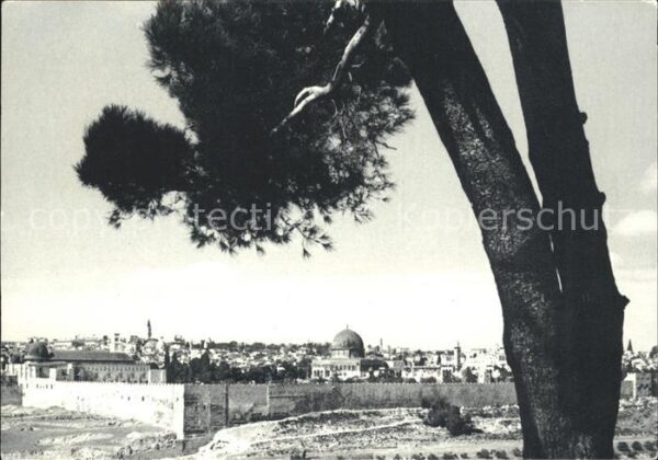 Jerusalem Yerushalayim