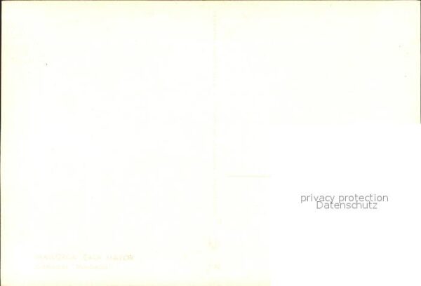 Mallorca Comedor Marbella Restaurant – Bild 2