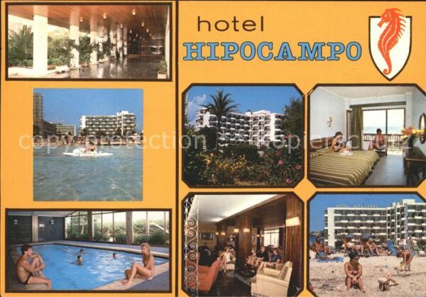Cala Millor Mallorca Hotel Hipocampo Strand Zimmer Swimmingp