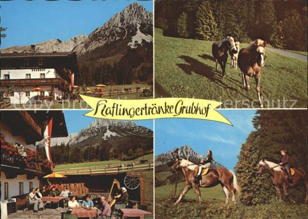 Ellmau Tirol Haflingertränke Grubhof Reiter Haflinge