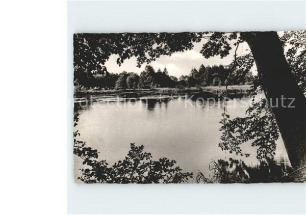 Holm-Seppensen Seppenser Mühlenteich