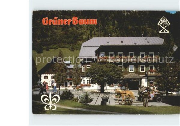 Badgastein Hotel Grüner Baum