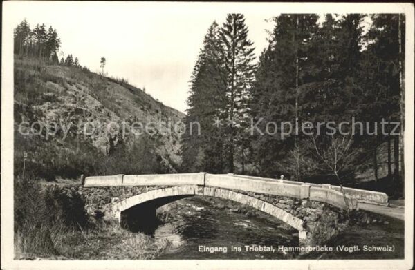 Vogtland Region Triebtal Hammerbrücke
