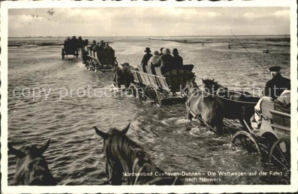 Duhnen Nordsee Nordseebad Wattwagen auf der Fahrt nach