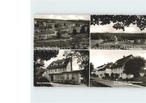 Bockswiese-Hahnenklee Harz Panorama Haus am See Haus Bocksberg Sch