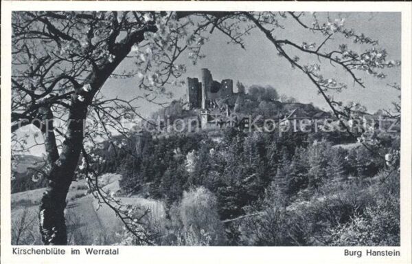 Bornhagen Kirschenblüte im Werratal Burg Hanstein