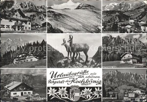 Hochkoenig Reh Matrashaus Mitterberg Alm Rupertiha