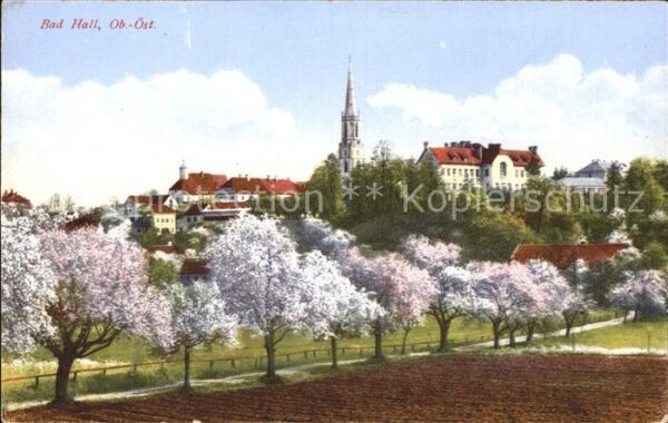 Bad Hall Oberoesterreich Teilansicht