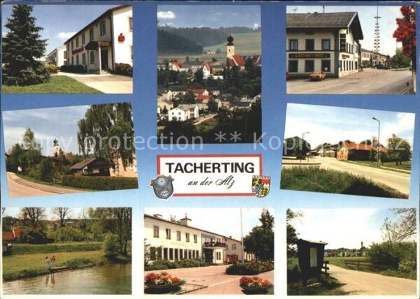 Tacherting Alz