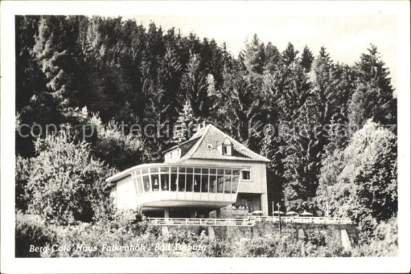 Bad Driburg Berg Cafe Haus Falkenhöh