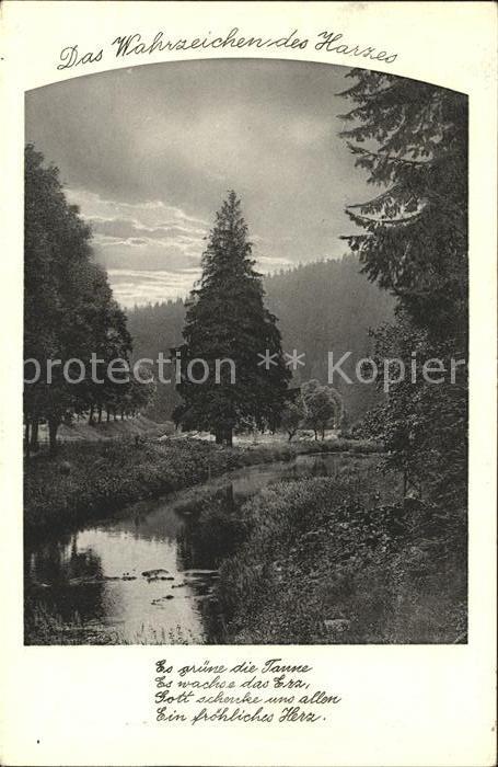 Hohegeiss Harz Wahrzeichen Harzes Gedicht Teich Wald
