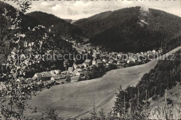 Sieber Blick Adlerskopf
