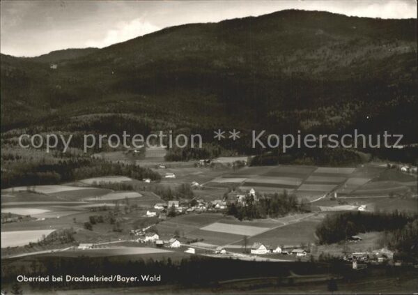 Drachselsried Oberried