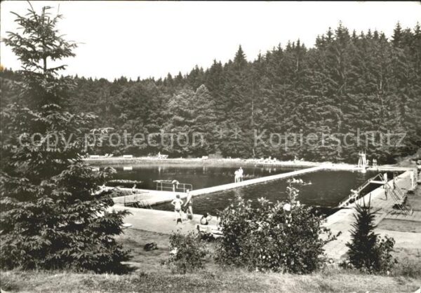 Elend Harz Waldbad