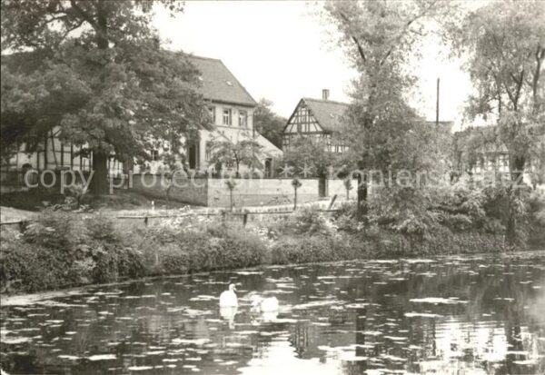 Weissbach Stadtroda Schwanenteich
