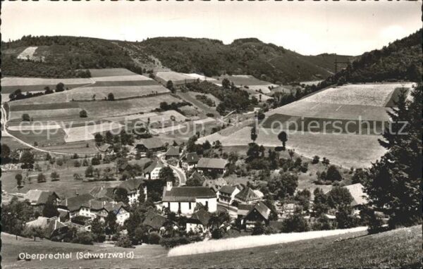 Oberprechtal Panorama