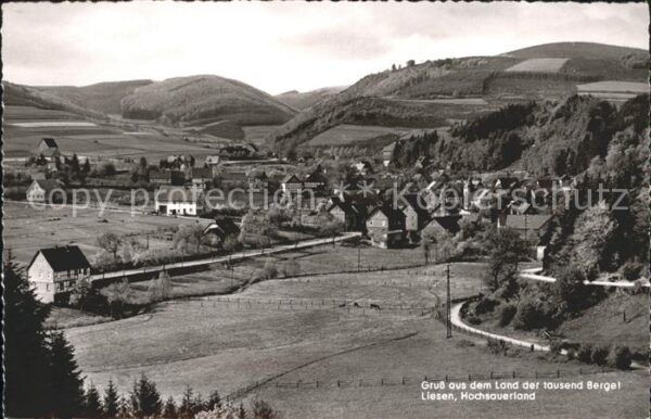 Liesen Panorama