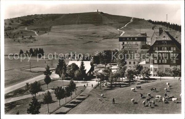 Feldberg Schwarzwald Hotel Feldbergerhof