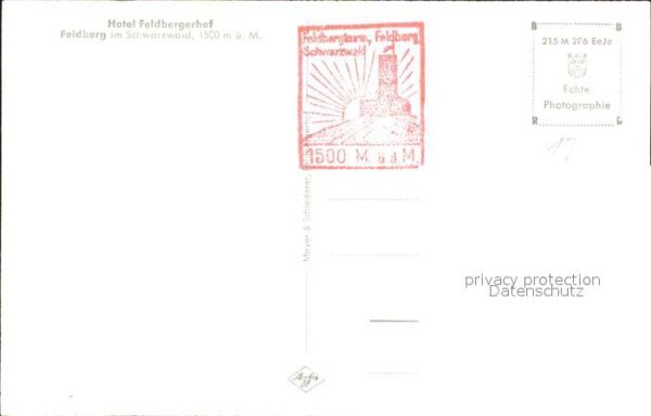 Feldberg Schwarzwald Hotel Feldbergerhof – Bild 2