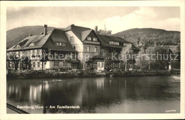 Ilsenburg Harz Am Forellenteich