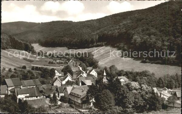 Lonau Ortsblick
