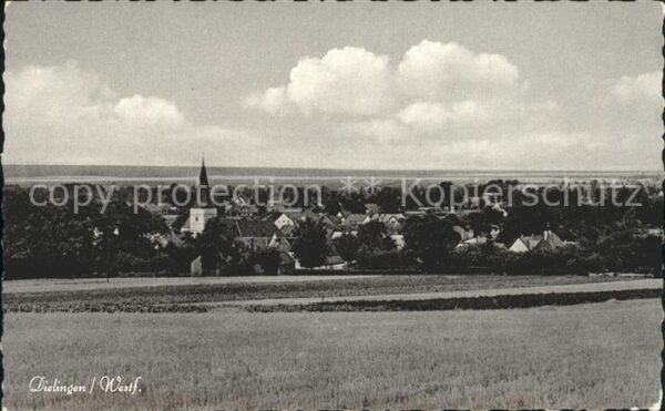 Dielingen Panorama