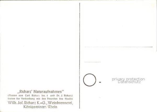 Heisterbach Klosterruine – Bild 2