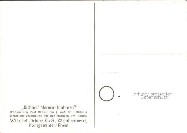 Siebengebirge Panorama – Bild 2