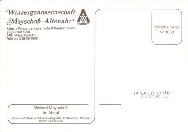 Mayschoss Blick durch Weinreben Kirche Weinort Wi – Bild 2
