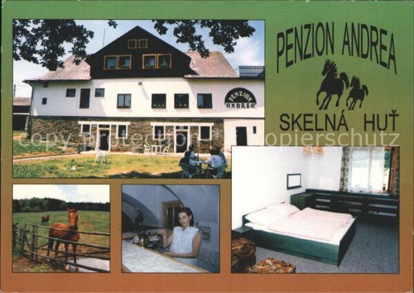 Nyrsko Penzion Andrea Skelna Hut Pferd