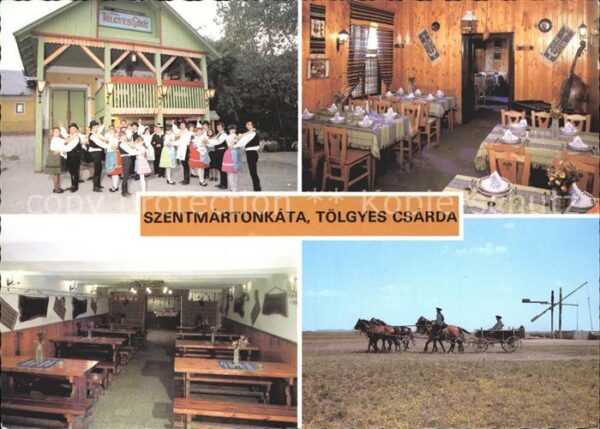 Szentmartonkata Tölgyes Csarda Schenke Inn Pferdekutsch