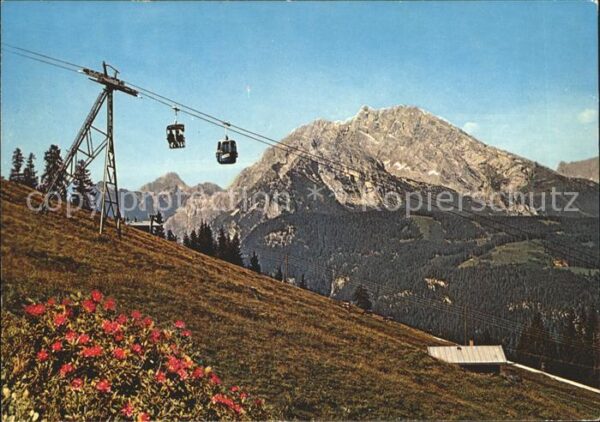 Berchtesgaden Jennerbahn Bergbahn Alpenflora Alpenpan