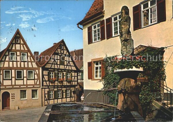 Marbach Neckar Schillers Geburtshaus Wilder Mann Brunn