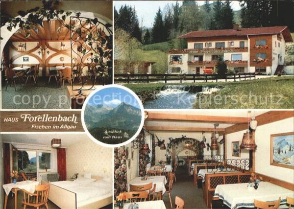 Fischen Allgaeu Haus Forellenbach Restaurant Bach Alpen