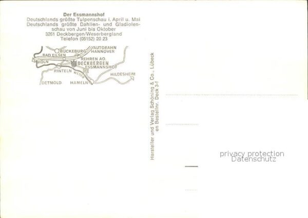 Deckbergen Essmannshof Blumenschau Tulpen Dahlien – Bild 2
