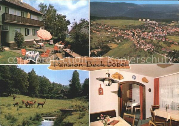 Dobel Schwarzwald Pension Beck Hirsche Fliegeraufnahme