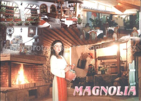 Kazanlak Magnolia