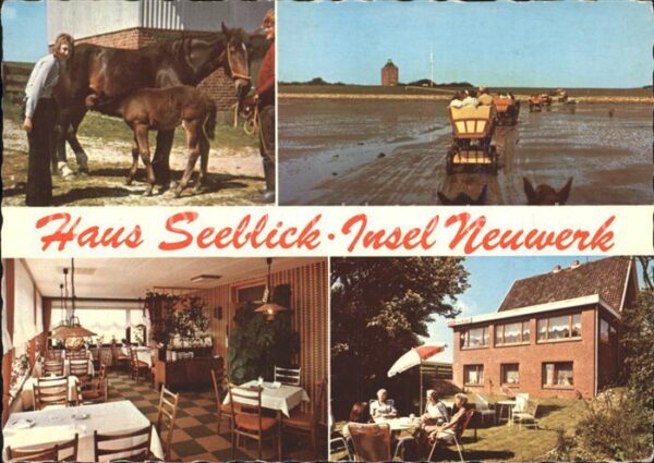 Insel Neuwerk Haus Seeblick Pferde
