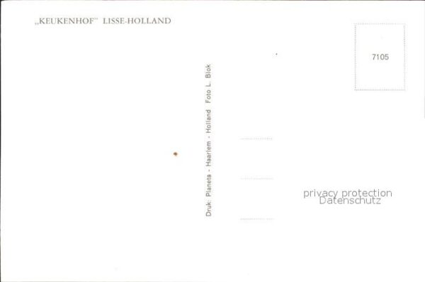 Lisse Keukenhof – Bild 2