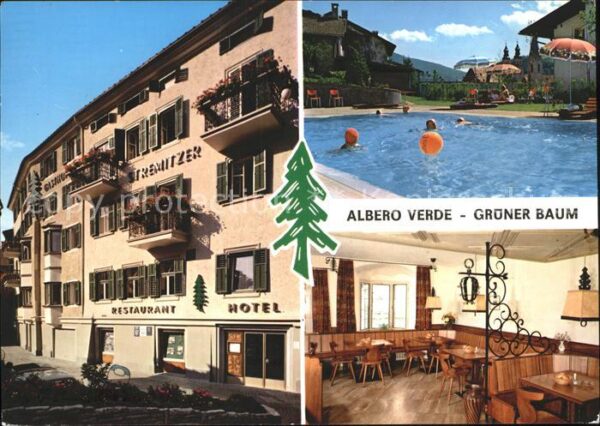 Bressanone Albero Verde Grüner Baum