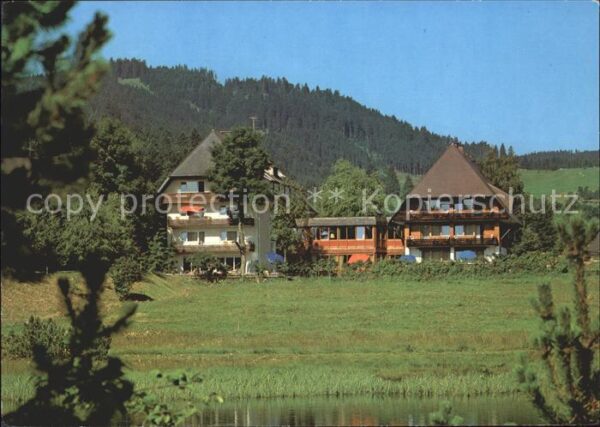 Hinterzarten Hotel Reppert