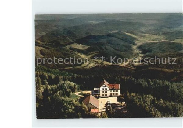 Badenweiler Hotel Hochblauen Fliegeraufnahme