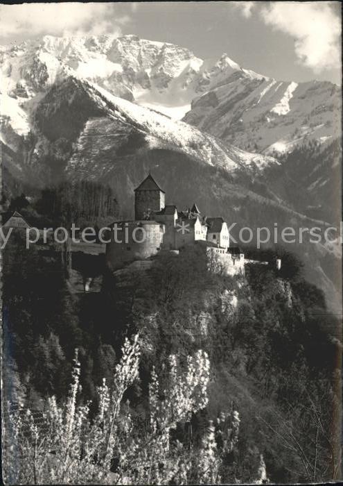 Vaduz Schloss Fürstentum Lichtenstein