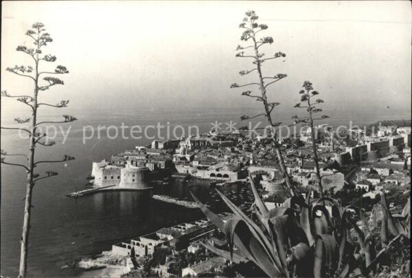 Dubrovnik Ragusa