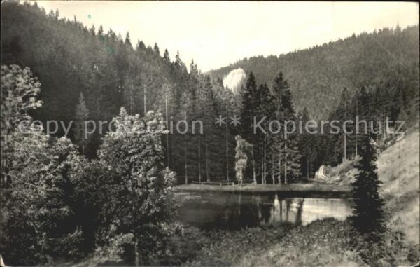 Oberhof Thueringen Silberteich